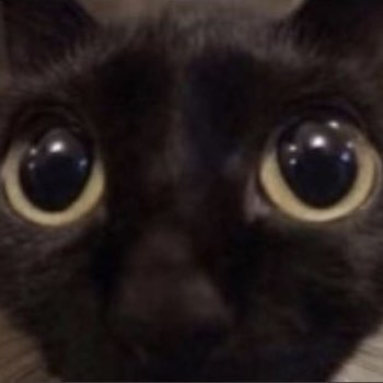 ShitpostBot's bot icon on Discord